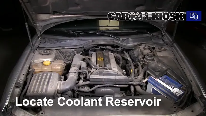 2000 Opel Omega GLS 2.2L 4 Cyl. Coolant (Antifreeze)
